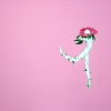 A Rose by Any Other Name …