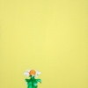 She A Sunflower